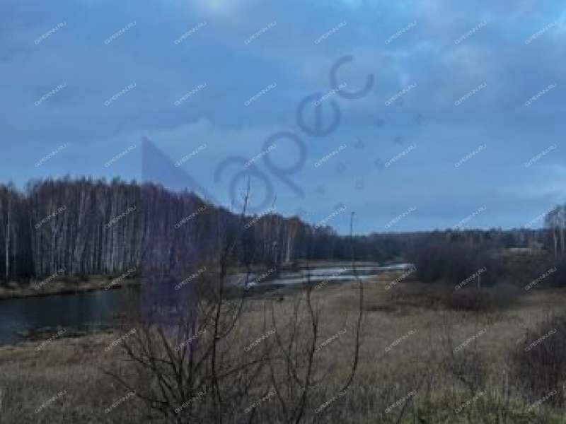 земельный участок 2 000 соток деревня Фефелиха